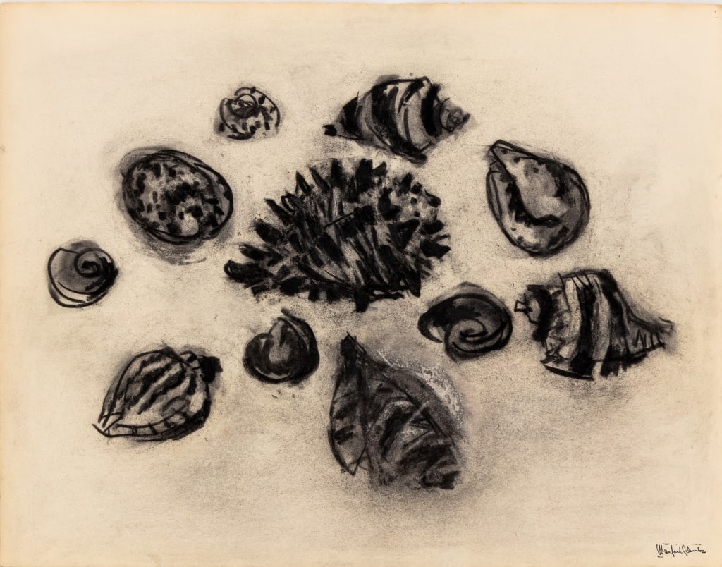 Manfred Schwartz Still Life of Seashells Charcoal: Manfred Schwartz (American, born Poland, 1909-1970), Still Life of Seashells, Charcoal on Paper, with the artist's signature stamped lower right, unframed. 20" H x 25.75" W. Provenance: From a 35 East