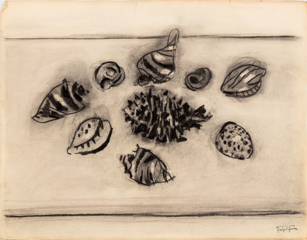 Manfred Schwartz Still Life of Seashells Charcoal: Manfred Schwartz (American, born Poland, 1909-1970), Still Life of Seashells, Charcoal on Paper, with the artist's signature stamped lower right, unframed. 20" H x 25.75" W. Provenance: From a 35 East