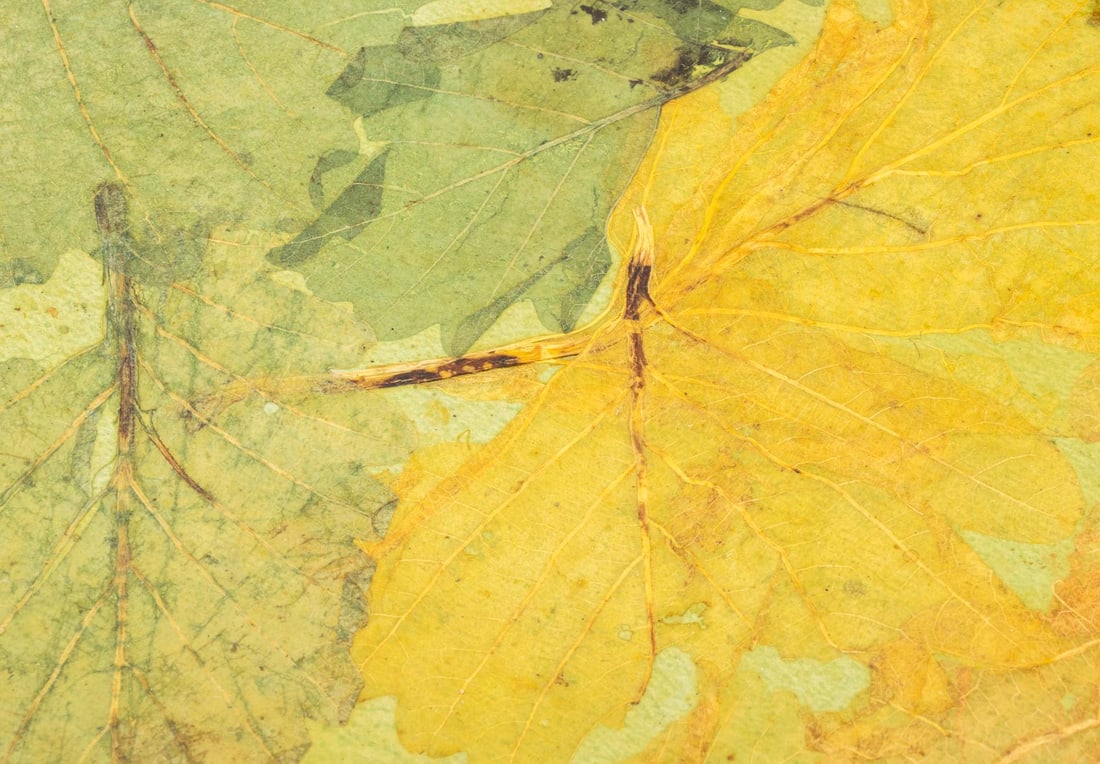 Lacquered Leaf Serving Trays, 6 - 3