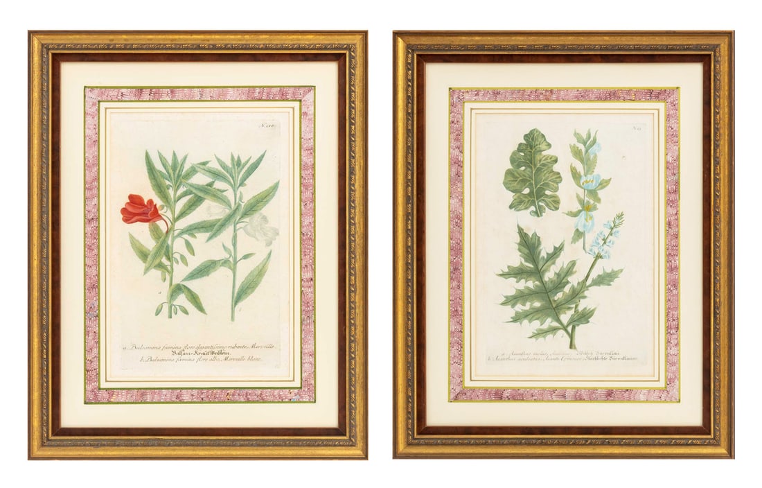 Johann Wilhelm Weinmann Botanical Engravings, Pair: Johann Wilhelm Weinmann (German, 1683-1741), Pair of Botanical Hand-Colored Engravings, 18th century, from the Phytanthoza Iconographia series, comprising: "Acanthus Mollis / Acanthus aculeatus" and "