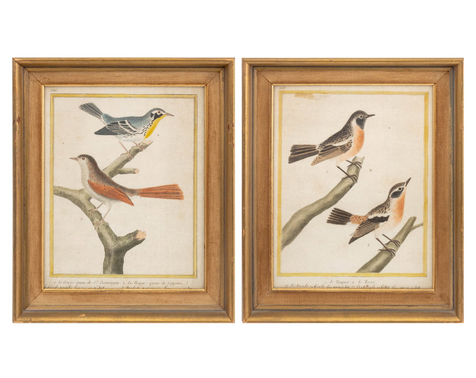 Francois-Nicolas Martinet Hand-Colored Prints, 2 (1 of 15)