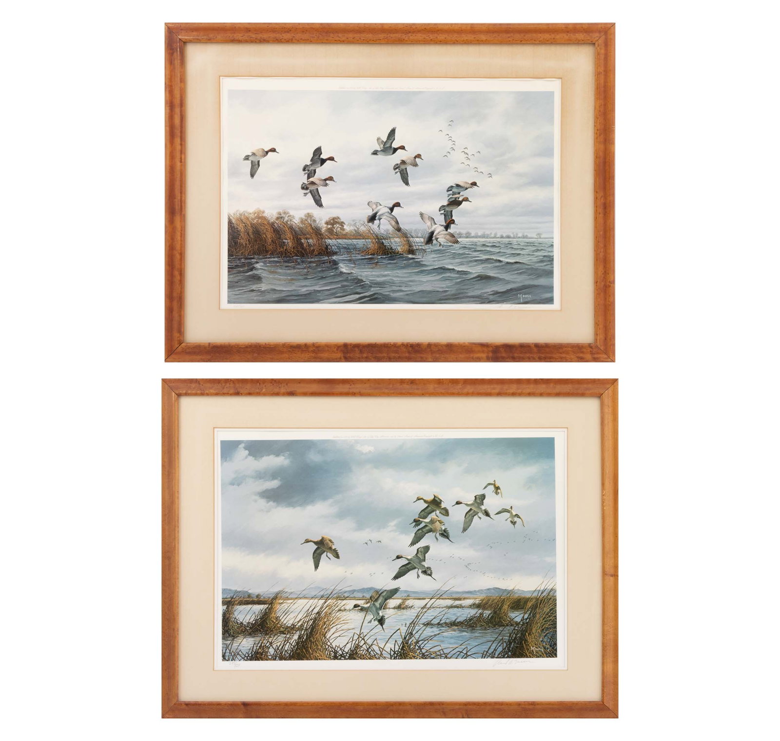 David Maass Birds in Flight Offset Lithographs, 2: David A. Maass (American, b. 1929), Two Scenes of Bird in Flight, Offset Lithographs in Colors, comprising: "Willow Point Redheads", signed in print and signed in pencil lower right, numbered edition 