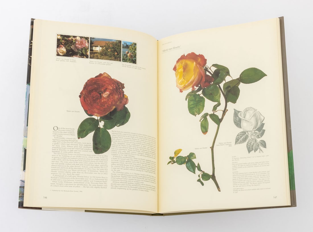 Books on Gardens and the Countryside, 5 - 4