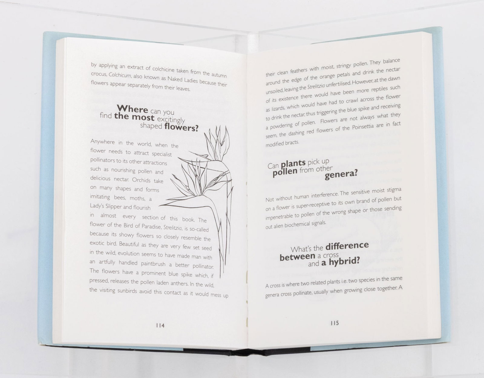 Books on Gardens, 11 - 12