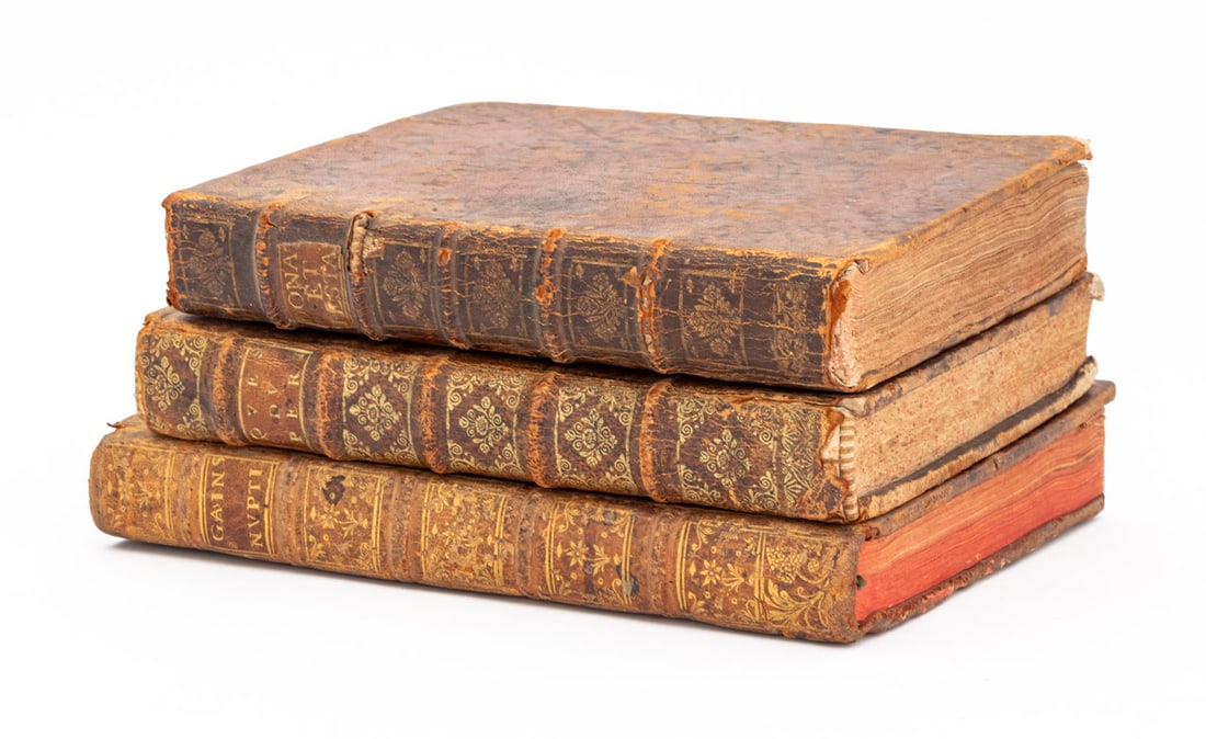 Antiquarian French Legal Texts, 3 (1 of 8)