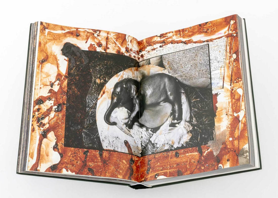 "Peter Beard", 2013 - 4