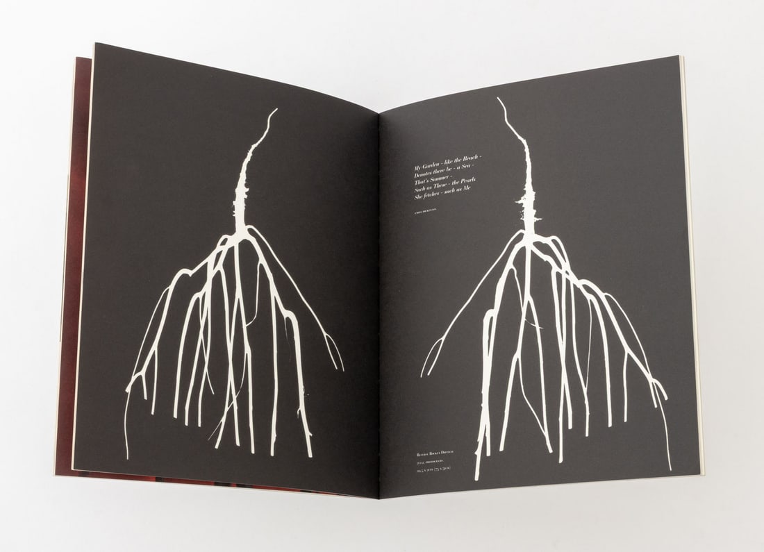 Art Exhibition Catalogs, 10 - 13