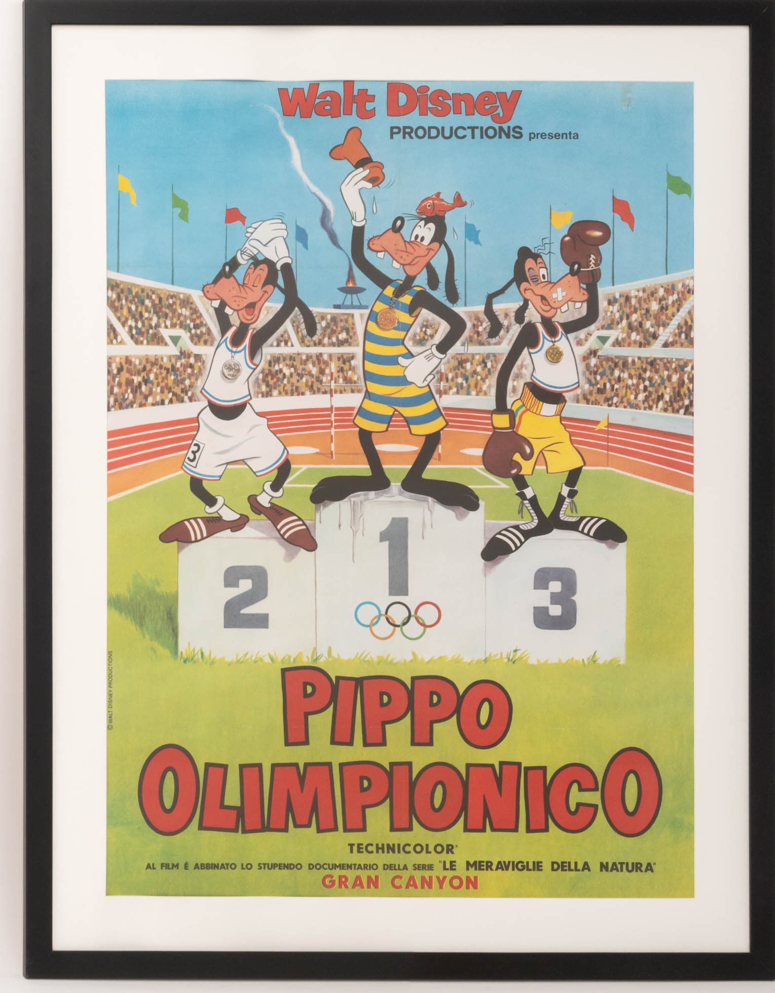 Walt Disney's "Pippo Olimpionico" Poster, 1972: Walt Disney Production's "Pippo Olimpionico" [Goofy's All-Star Olympics] Offset Lithographic Poster in Colors, 1972, black frame. Image: 39" H x 35" W; frame: 58.75" H x 44.75" H x 0.75" D. Provenance