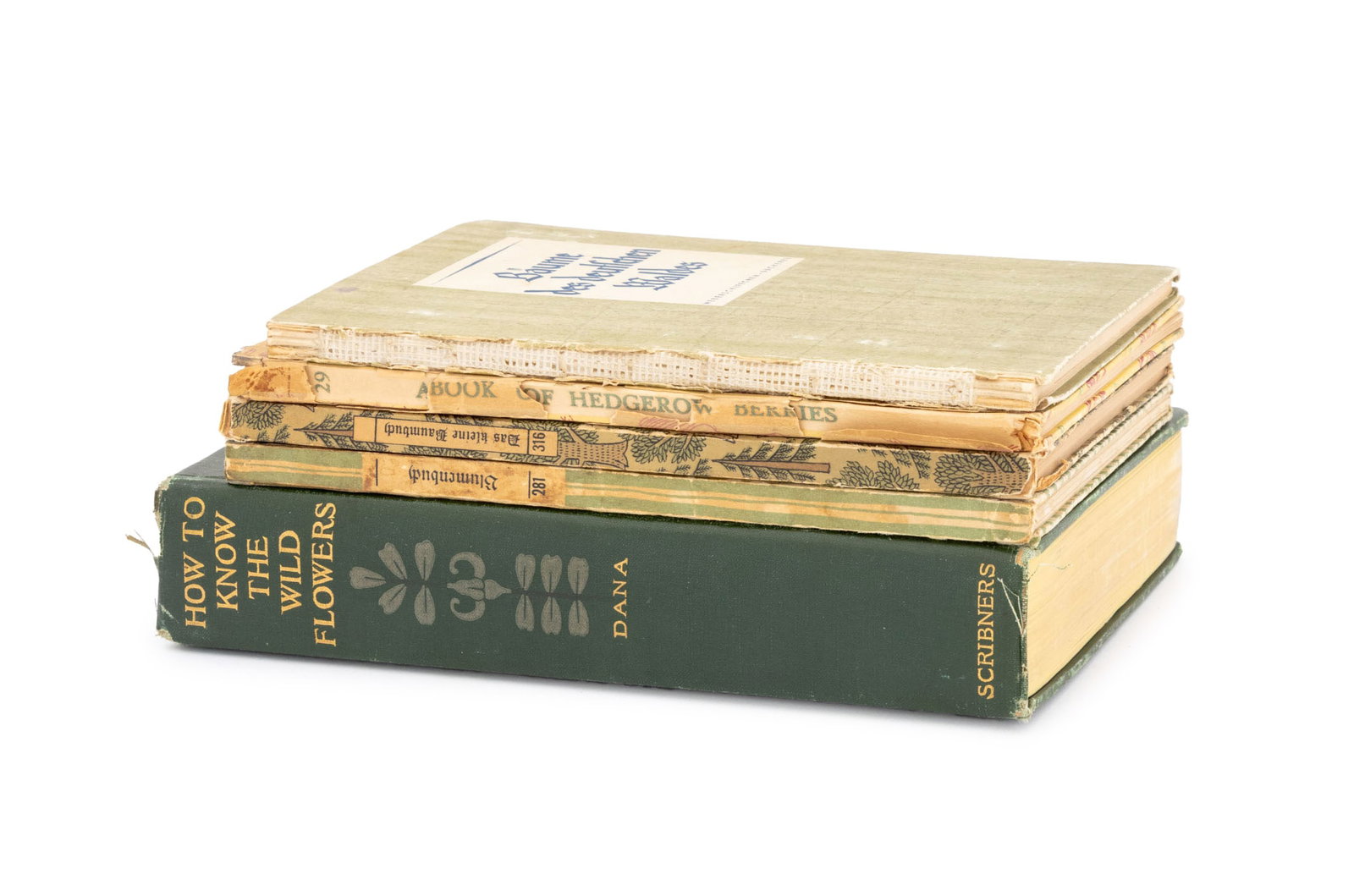 Botanical Illustration Books, 5 (1 of 8)