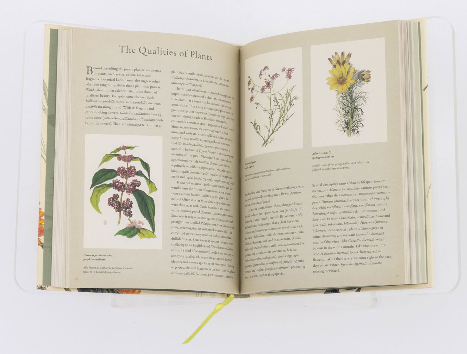 Botany Reference Books, 9 - 11