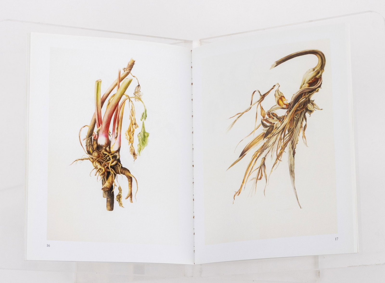 Botany Reference Books, 9 - 12