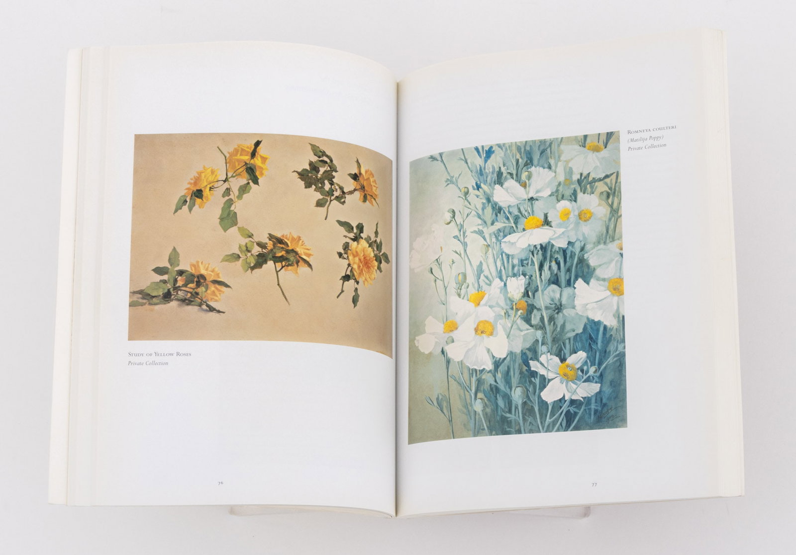 Botany Reference Books, 9 - 8