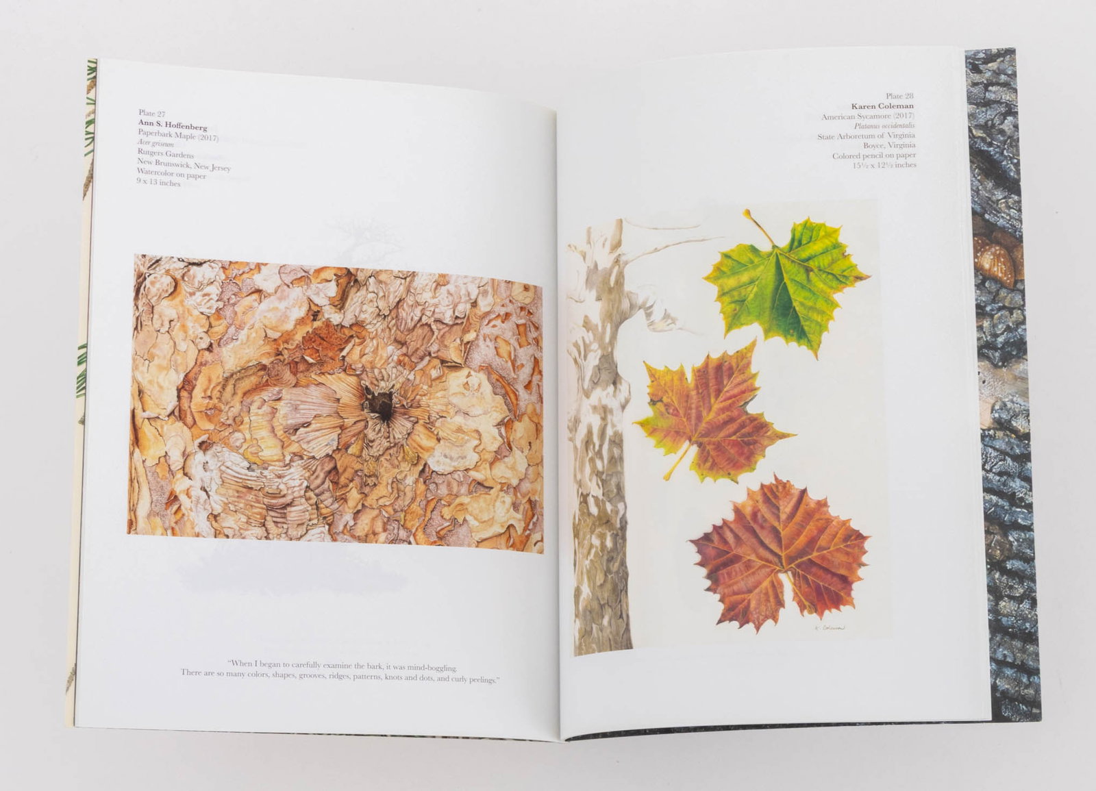 Botany Reference Books, 9 - 9