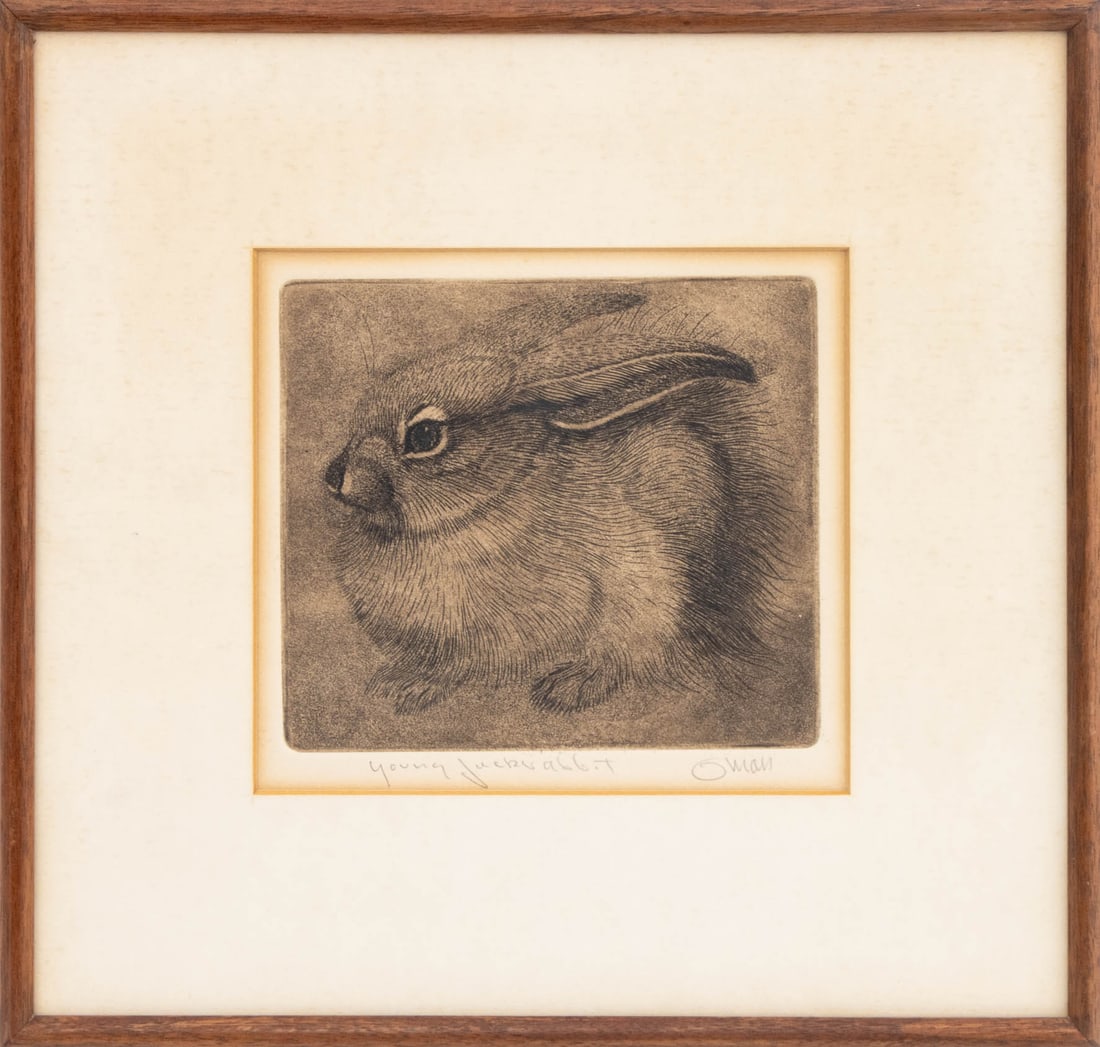 Sheridan Oman "Young Jackrabbit" Etching: Sheridan Oman (American, 1926-1995), "Young Jackrabbit", Etching on Paper, signed in pencil "Oman" lower right, titled lower left, wood frame. Image: 5" H x 5.5" W; frame: 11" H x 11.5" W x 0.5" D. Pr