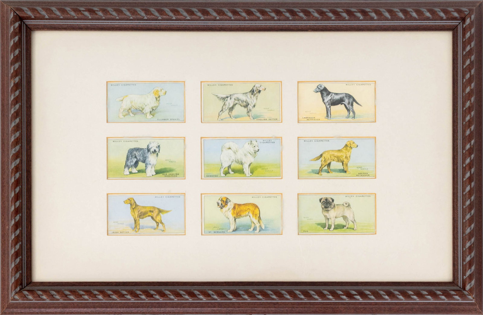 Arthur Wardle for Wills's Cigarettes Dog Cards, 9: Arthur Wardle (British, 1864-1949) for Wills's Cigarettes Nine Dog Breed Cards, 1937, comprising: Clumber Spaniel, English Setter, Labrador Retriver, Old English Sheepdog, Samyoed, Golden Retriever, I