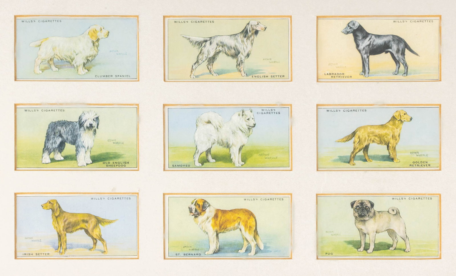 Arthur Wardle for Wills's Cigarettes Dog Cards, 9 - 2