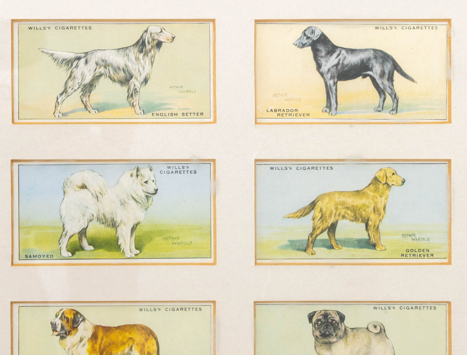 Arthur Wardle for Wills's Cigarettes Dog Cards, 9 - 4