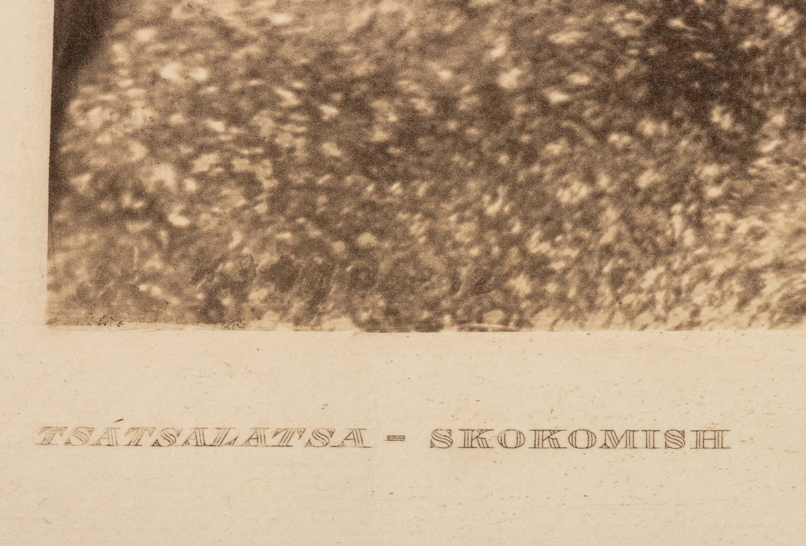 Edward S. Curtis "Tsatsalatsa - Skokomish", 1912 - 4