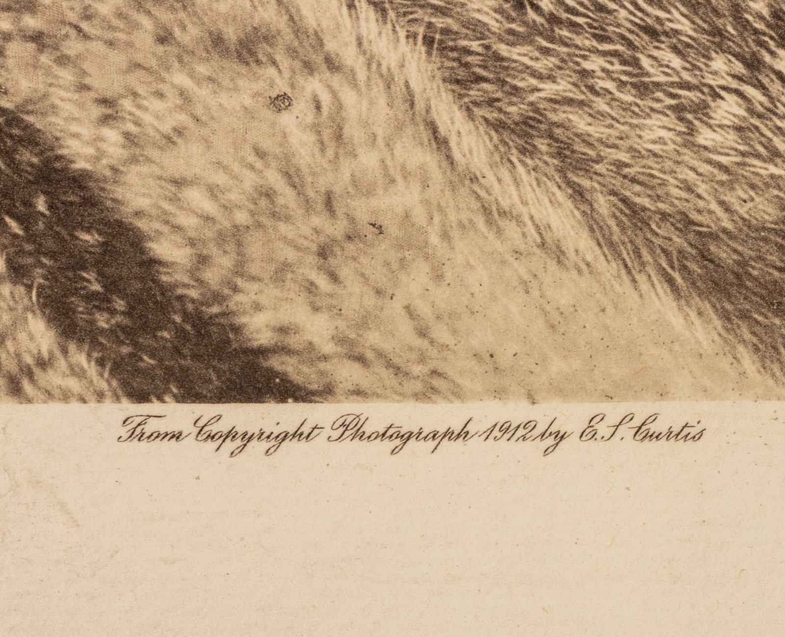 Edward S. Curtis "Lelehalt - Quilcene", 1912 - 5