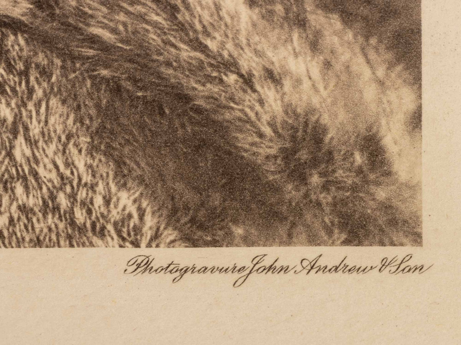 Edward S. Curtis "Lelehalt - Quilcene", 1912 - 6