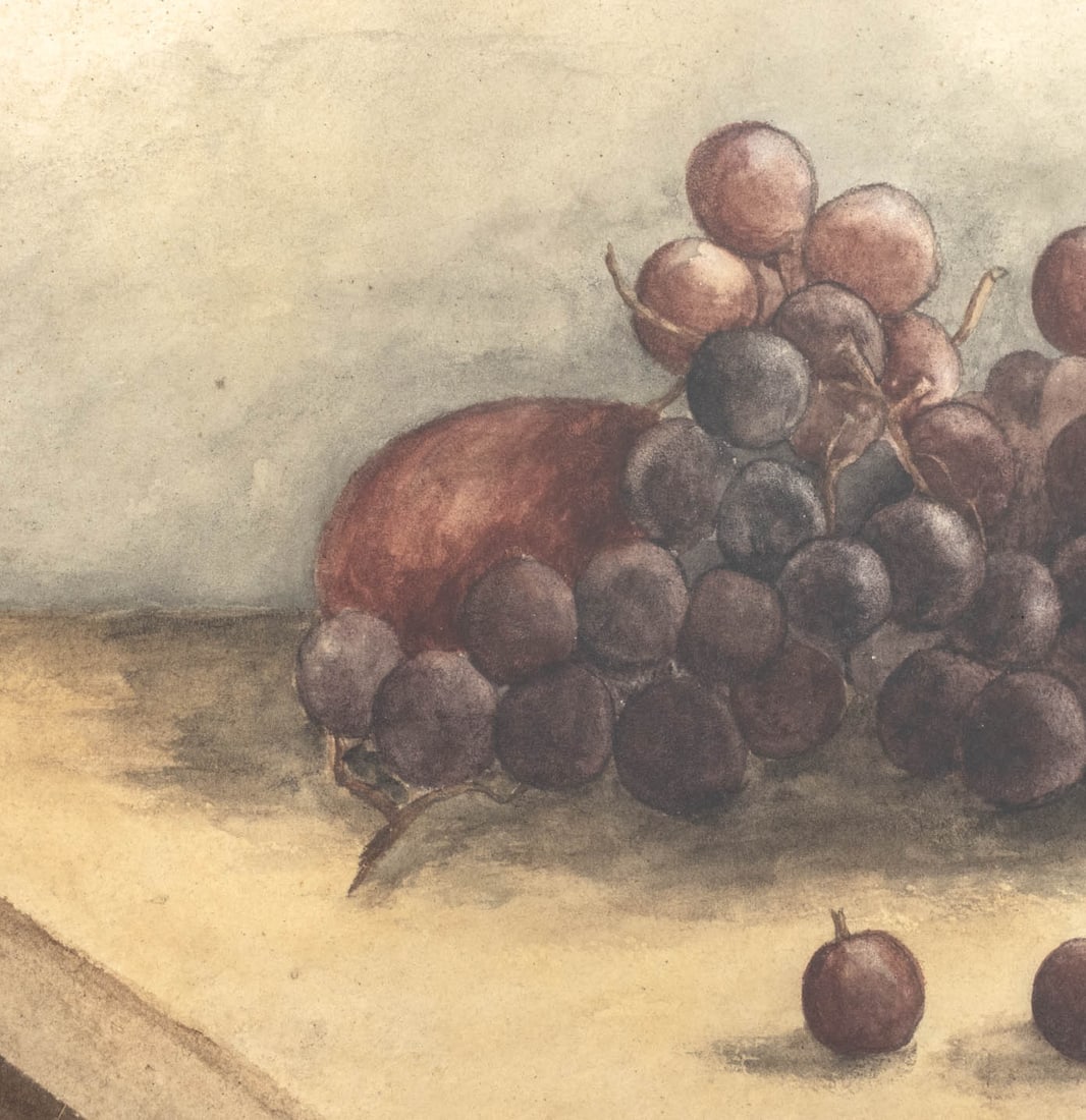 American School Still Life of Grapes Watercolor - 3