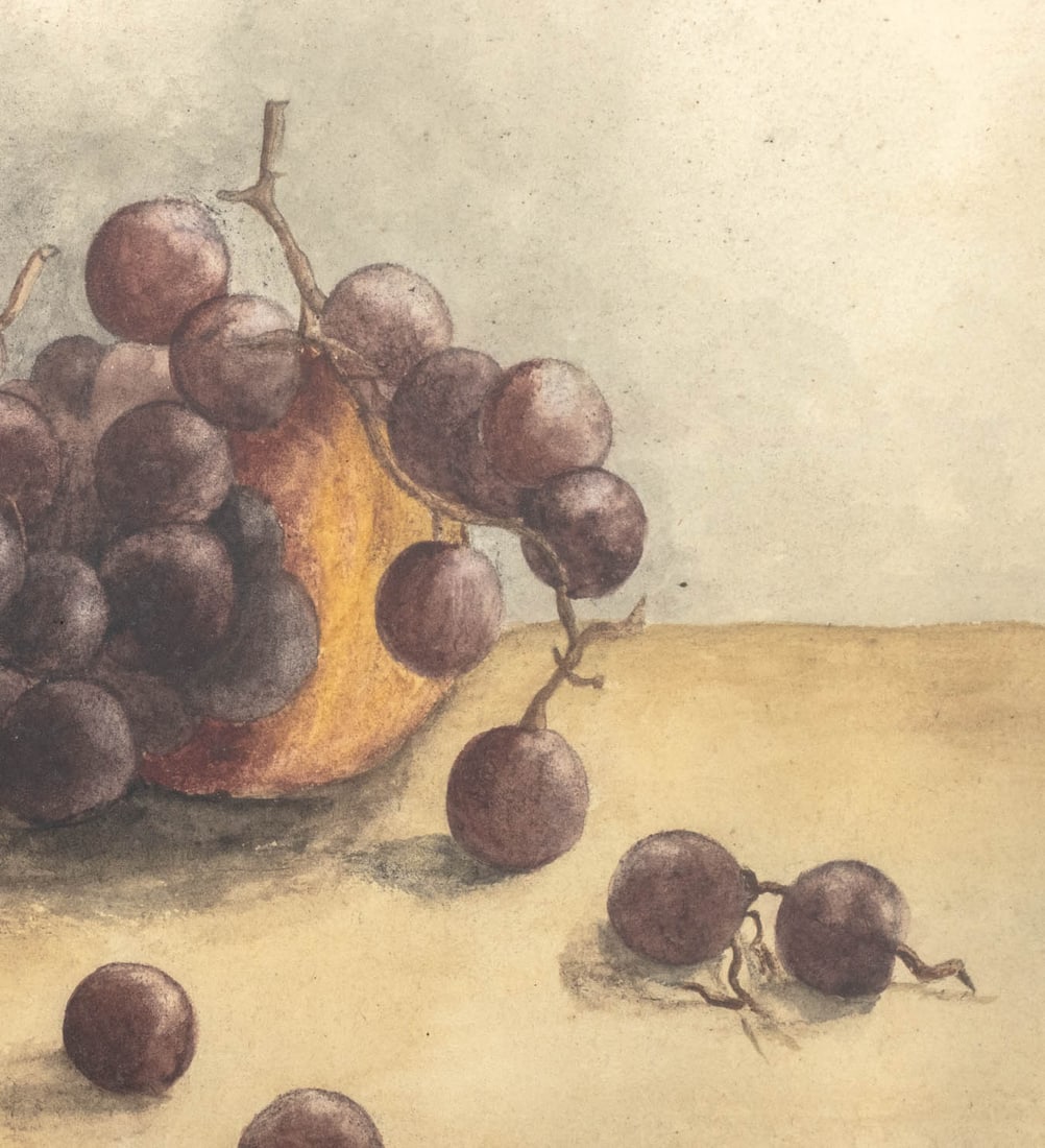 American School Still Life of Grapes Watercolor - 4