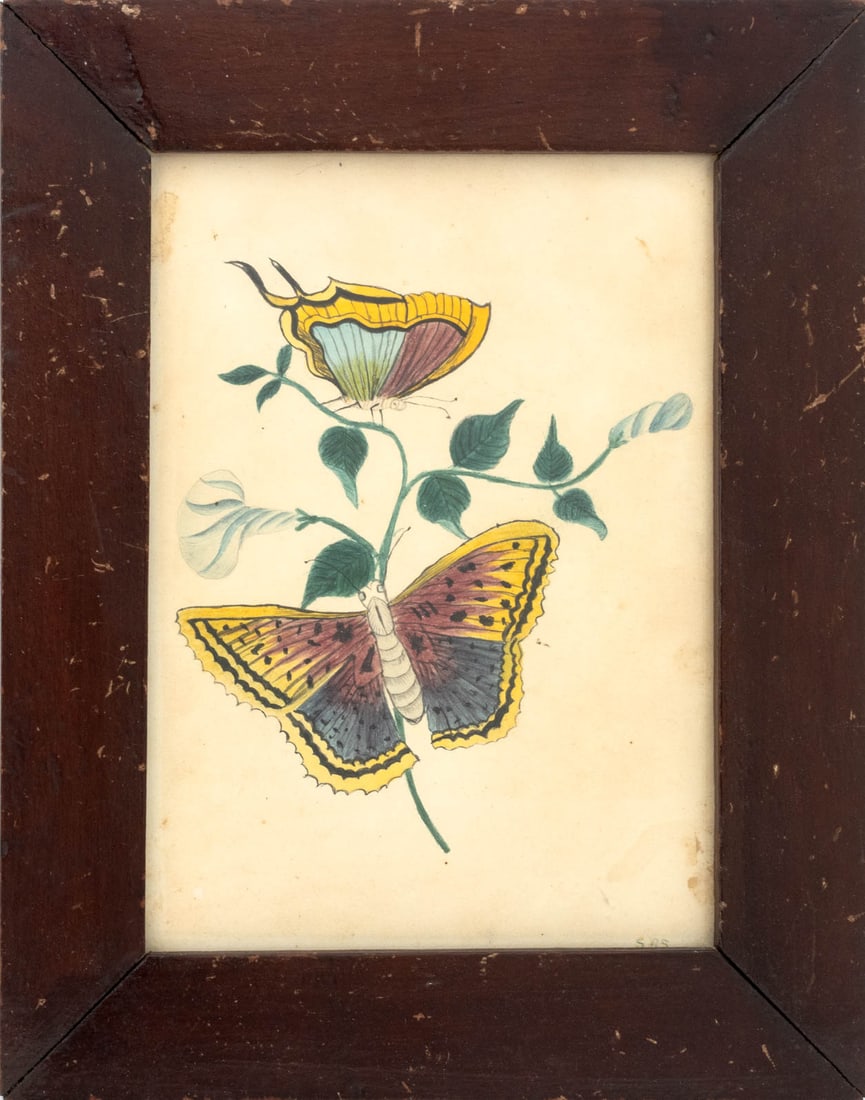 Butterflies & Morning Glories Watercolor, 19th C.: American Naive School, Scene of Two Butterflies and Morning Glory Flowers, Watercolor on Paper, 19th century, signed "S.A.S" lower right, wood frame. Image: 6.5" H x 4.75" W; frame: 9.75" H x 8.75" W 
