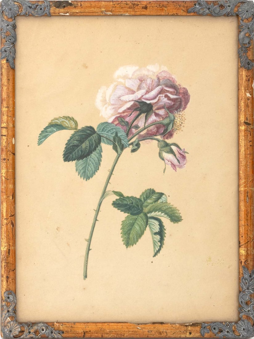 American Study of Pink Roses Watercolor, 19th C.: American School, Study of Pink Rose Flowers, Watercolor on Paper, 19th century, metal mounted wood frame. Image: 8" H x 6" W; frame: 11" H x 8.25" W x 0.75" D. Provenance: From a 21 East 87th Street E