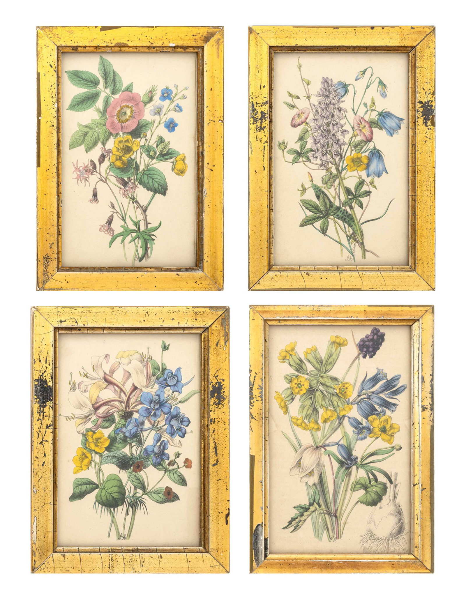 James Andrews Hand-Colored Botanical Prints, 4: James Andrews (English, 1801-1876), Four Wildflower Compositions, Hand-Colored Prints, each signed "JA" in plate lower center, giltwood frames. Largest: 6" H x 3.75" W; frame: 7.5" H x 5.25" W x 0.75"