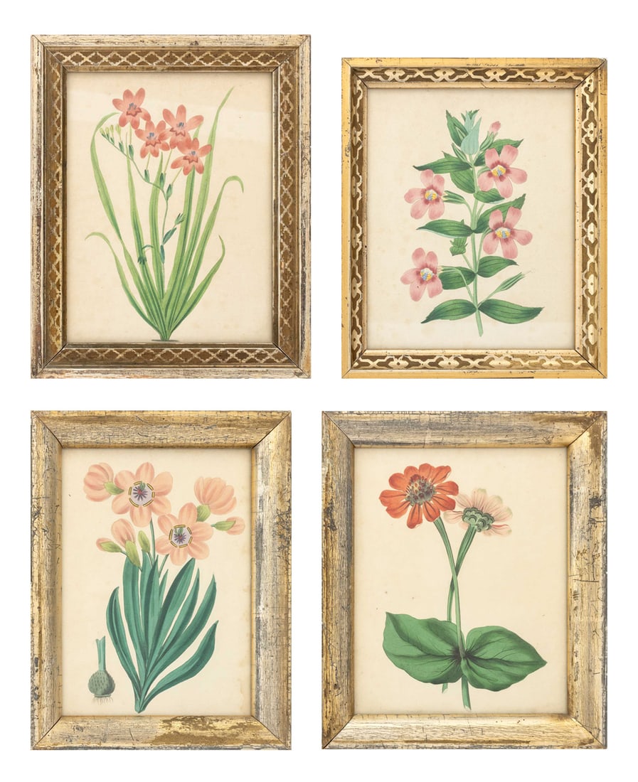 Frederick William Smith Botanical Prints, 4 (1 of 17)