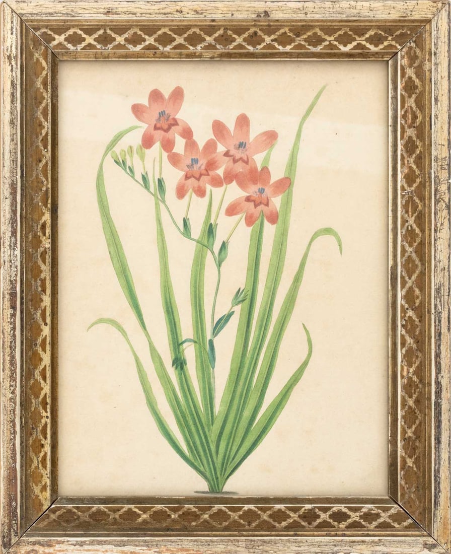 Frederick William Smith Botanical Prints, 4 - 2