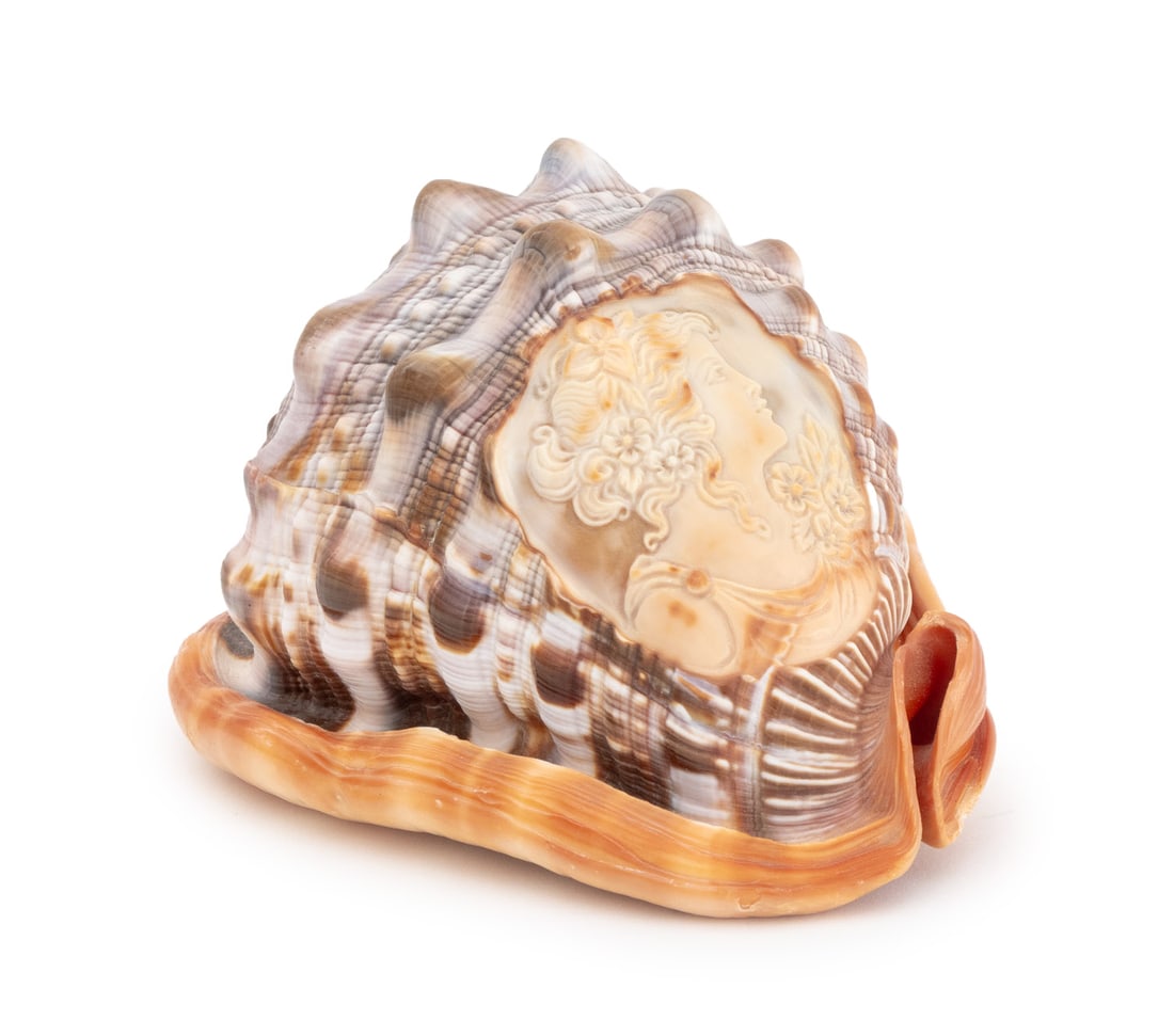 Italian Cameo Carved Conch Shell: Italian Cameo Carved Conch Shell, depicting the portrait of a young woman and flowers, illegibly signed by artist "J Beruell" to underside. 3.5" H x 5.75" W x 4" D. Provenance: From the Estate of Gera