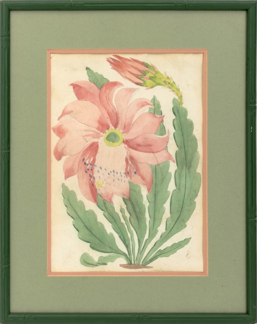 Epiphyllum Splendidum Study Watercolor: Epiphyllum Splendidum Study, Watercolor on Paper, green painted faux bamboo frame. Image: 9.75" H x 6.75" W; frame: 14.75" H x 11.75" W x 0.75" D. Provenance: From a Connecticut Estate. Keywords: