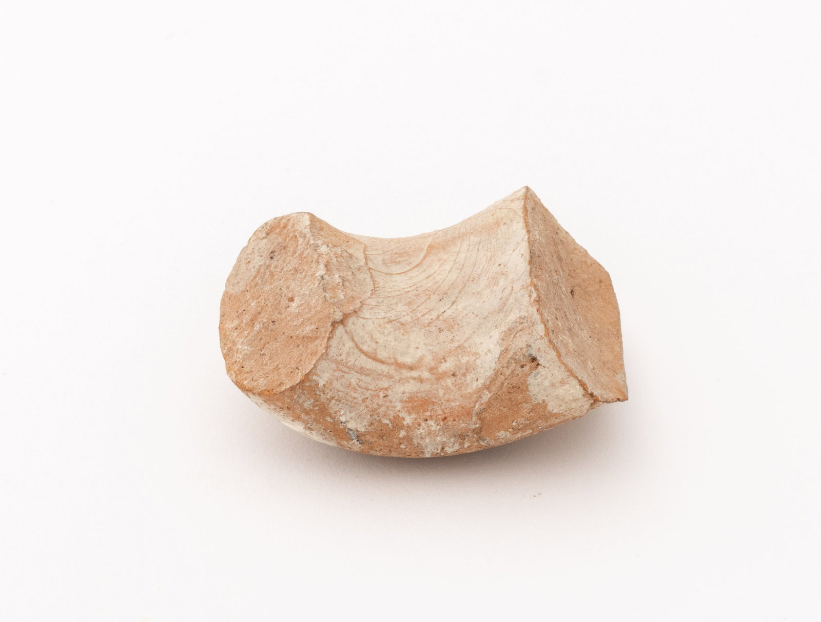 Ancient Judean Pottery Sherds, 5 - 9