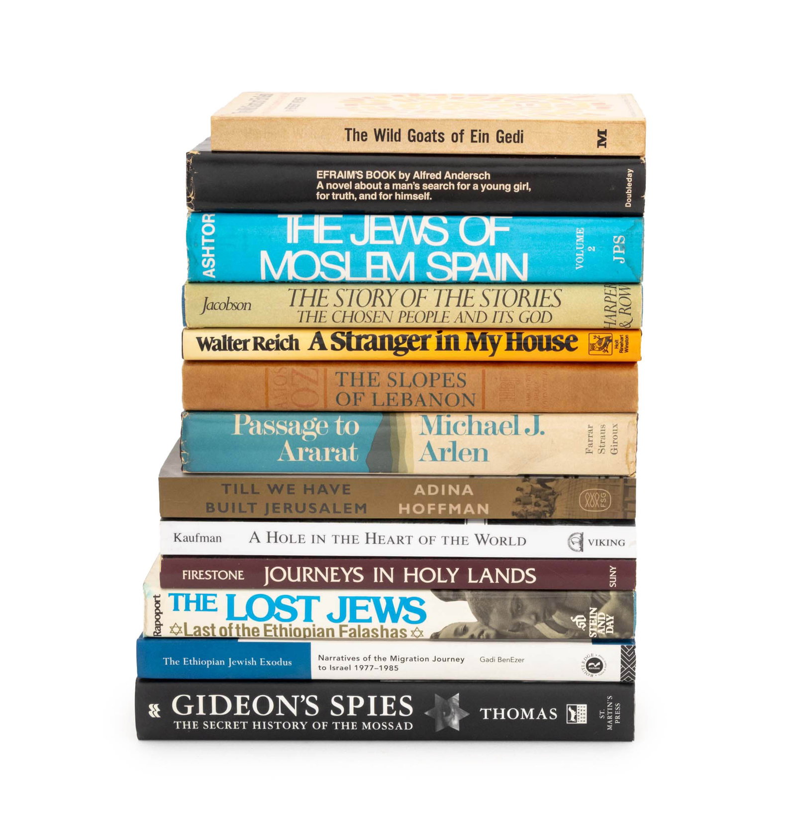 Books on Judaism and Migration, 13 (1 of 16)