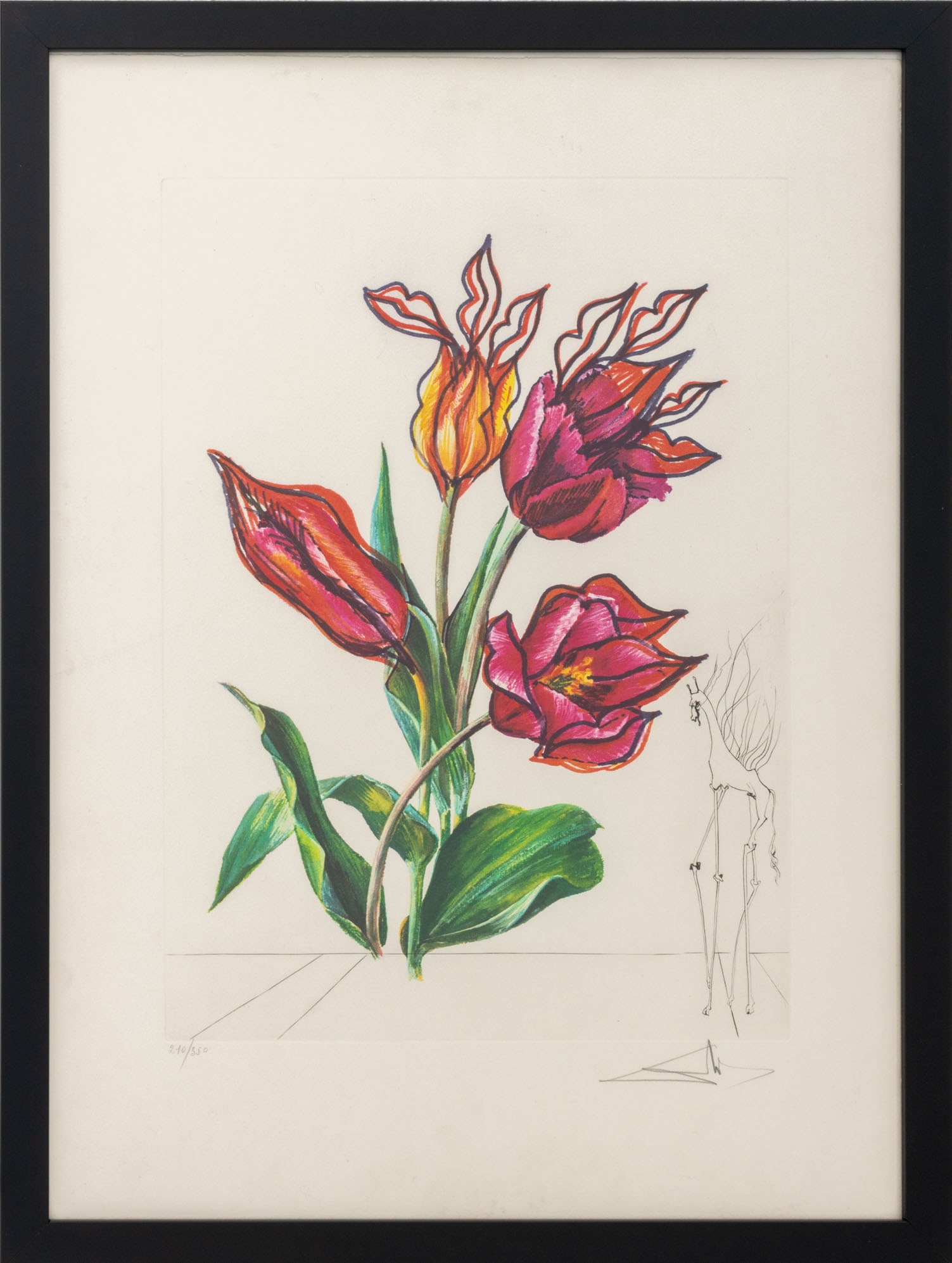 Salvador Dali "Tulip (Lips)" Etching, 1972: Salvador Dali (Spanish, 1904-1989), "Tulipa Crudeliter Basiantes" [Tulips Cruelly Kissing], Etching and Heliogravure in Colors on Arches Paper, 1972, from the "Florals (Surrealist Flowers)" suite, sig