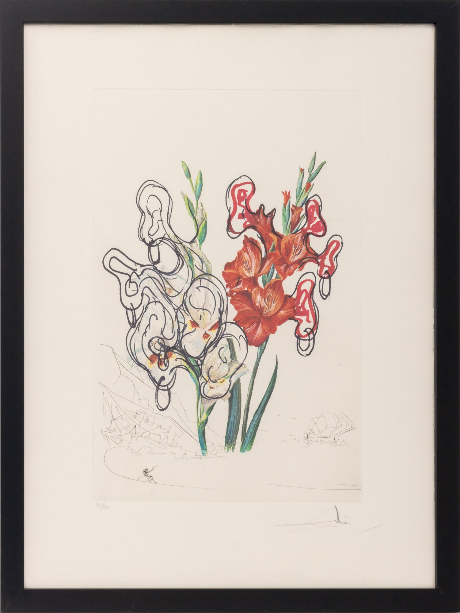 Salvador Dali "Gladiolus (Ears)" Etchings, 1972 (1 of 12)