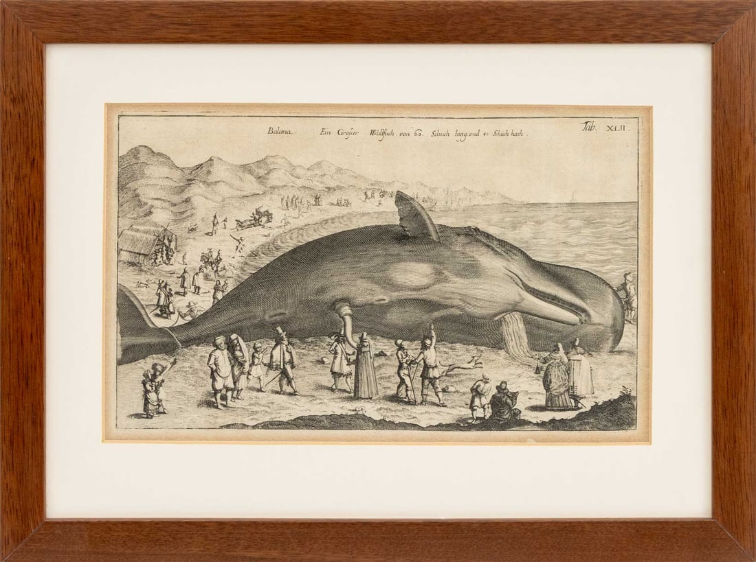 After John Jonston "Balaena" Engraving, 1767 (1 of 8)