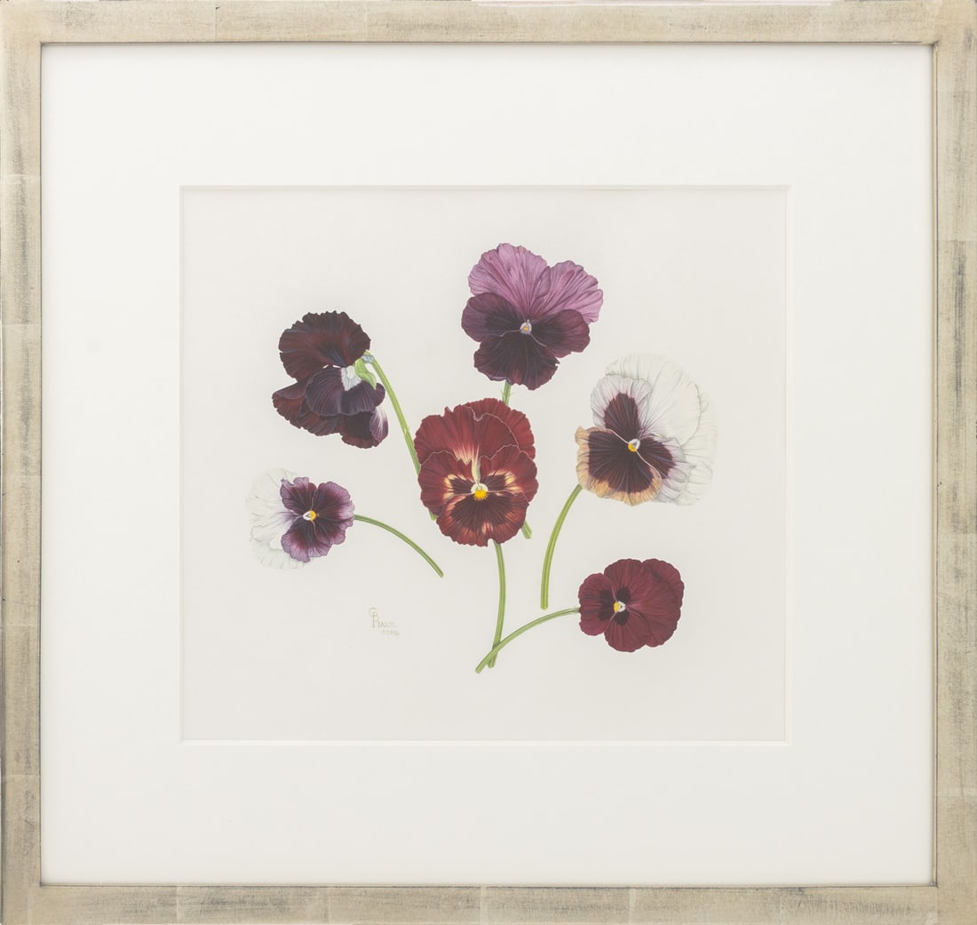 Cristine Paine Pansies Watercolor, 1996: Cristine Paine (XX), Pansies, Watercolor on Paper, 1996, signed and dated lower left, Ursus Prints label verso, silvered wood frame. Image: 11.5" H x 12.75" W; frame: 19.75" H x 20.75" W x 1" D.