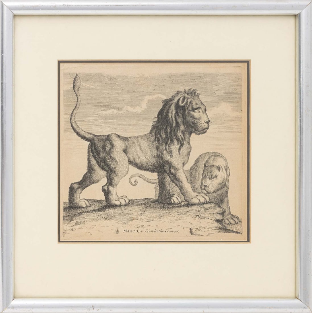 English School "Marco, Lion in the Tower" Etching: English School, "Marco, Lion in the Tower", Etching, 19th century, silvered wood frame. Image: 6.5" H x 7" W; frame: 11.75" H x 11.75" W x 0.5" D. Provenance: From a Tribeca Estate. Keywords: Antique