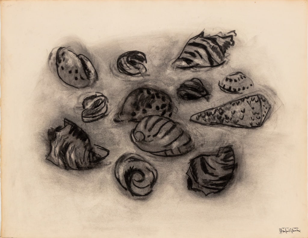 Manfred Schwartz Still Life of Seashells Charcoal: Manfred Schwartz (American, born Poland, 1909-1970), Still Life of Seashells, Charcoal on Paper, with the artist's signature stamped lower right, unframed. 20" H x 25.5" W. Provenance: From a 35 East 