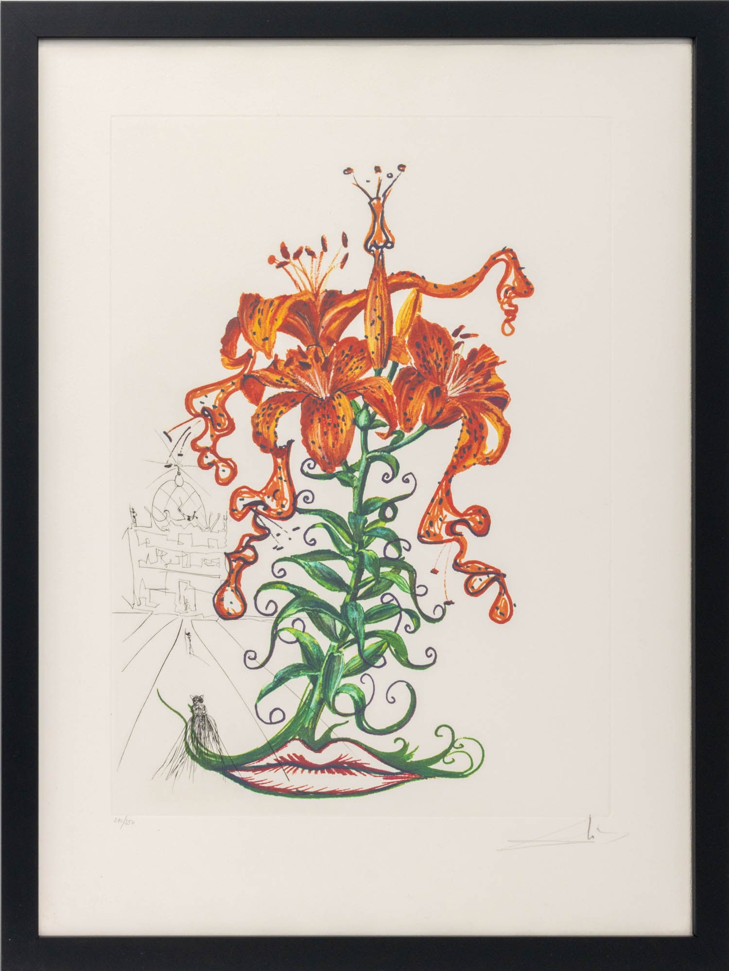 Salvador Dali "Tiger Lily (Mustache)" Etching 1972: Salvador Dali (Spanish, 1904-1989), "Lilium Aurancacium et Labra Barocantia" [Orange Lily and Baroque Lips], Etching and Heliogravure in Colors on Arches Paper, 1972, from the "Florals (Surrealist Flo