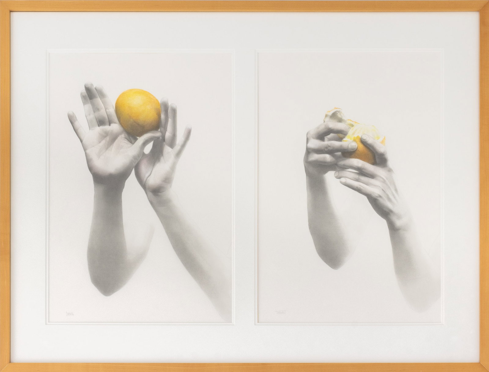 Sharon Sprung Hands Peeling a Lemon Diptych: Sharon Sprung (American, b. 1953), Hands Peeling a Lemon Diptych, Graphite and Colored Pencil on Paper, signed lower left, wood frame. Each image: 21" H x 14" W; frame: 29" H x 38" W x 1.5" D. Provena