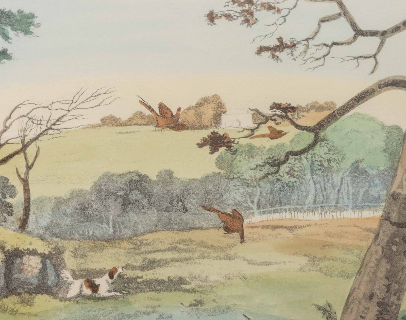 Thomas Sutherland "Pheasant Shooting" Lithograph - 5