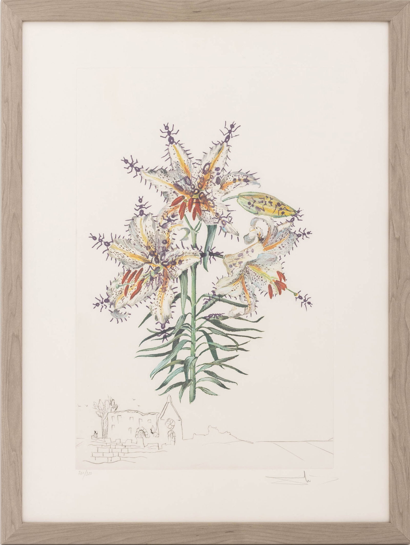 Salvador Dali "Lily Chapelle (Ants)" Etching, 1972 (1 of 12)