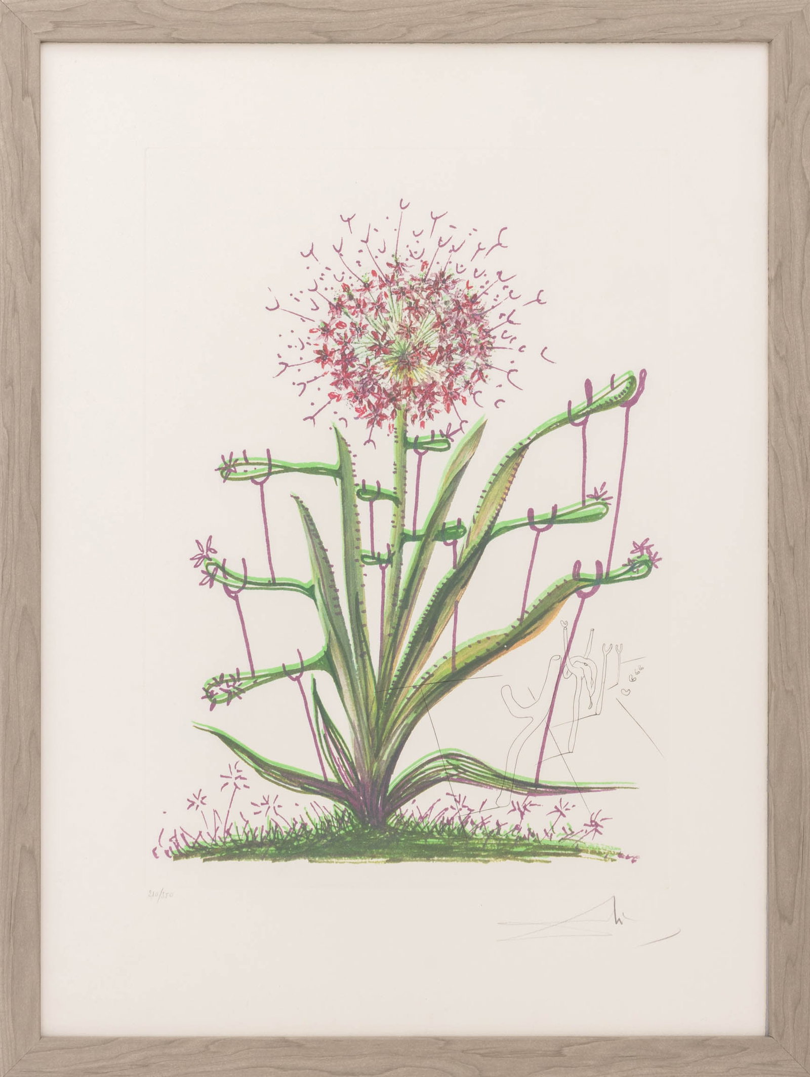 Salvador Dali "Cactus (Crutches)" Etching, 1972 (1 of 12)