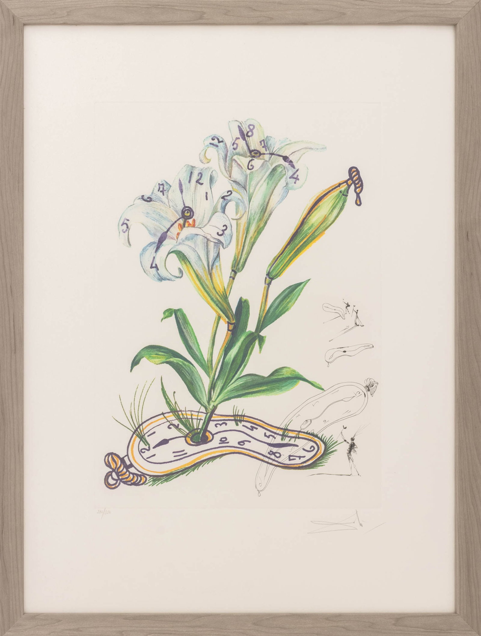 Salvador Dali "Lilies (Clocks)" Etching, 1972 (1 of 12)