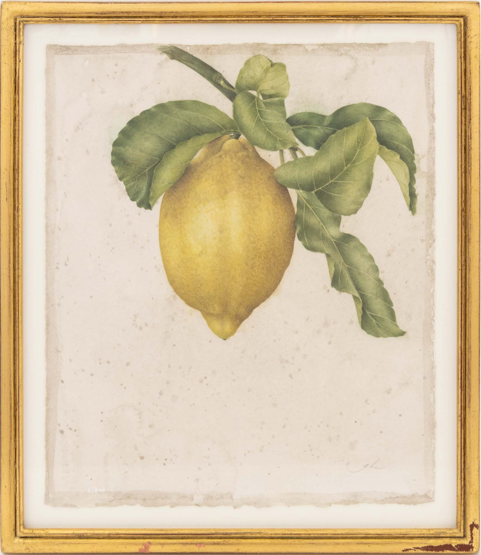 Gertrude Hamilton "Lemon" Watercolor, 2001: Gertrude Hamilton (Belgian/American, b. 1968), "Lemon", Watercolor on Paper, 2001, initialed in pencil lower right, Ursus Prints label verso, giltwood frame. Sheet: 10.25" H x 8.5" W; frame: 12.25" H