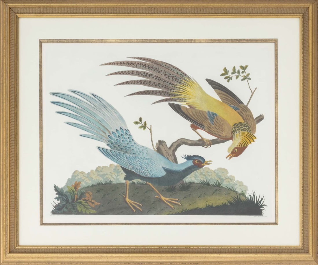 After Vittorio Raineri "Golden & Silver Pheasant": After Vittorio Raineri (Italian, 1797-1860), "Golden and Silver Pheasant", Hand-Colored Engraving, gilt frame. Image: 19.5" H x 25.5" W; frame: 31" H x 37" W x 1.5" D. Provenance: An Upper East Side