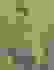 item-49290392=3